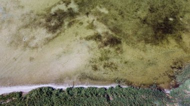 Temiz bir gölün kıyısında berrak bir su, kuş bakışı görüş.