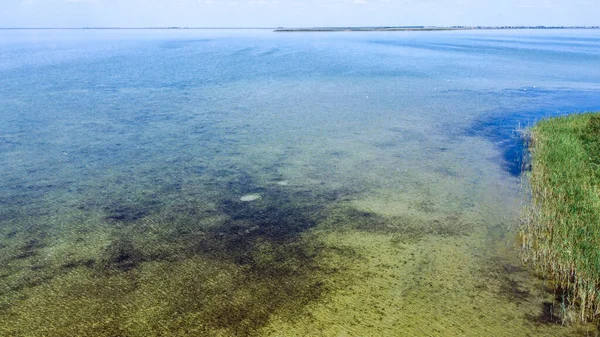Orilla de un lago limpio con agua clara, vista de pájaro — Foto de Stock