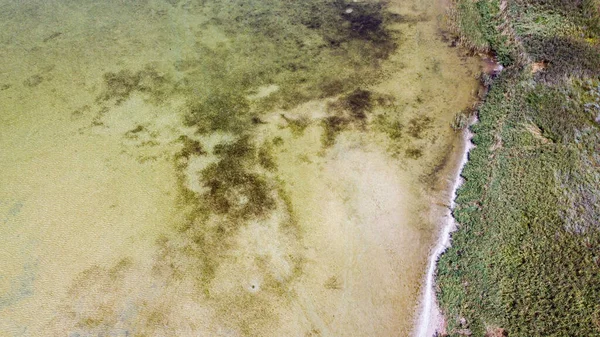 Güzel, sığ bir göl ve kumlu ve otlu bir sahil manzarası.