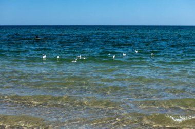 Güzel berrak mavi deniz. Şeffaf su arka planı ve dokusu. Aileyle yaz tatili