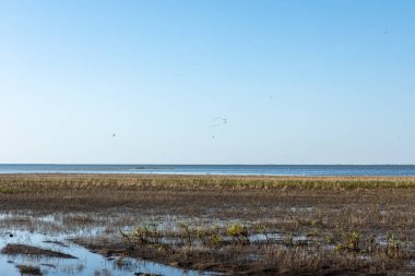 Sığ gölleri ve fundaları olan güzel bir manzara.