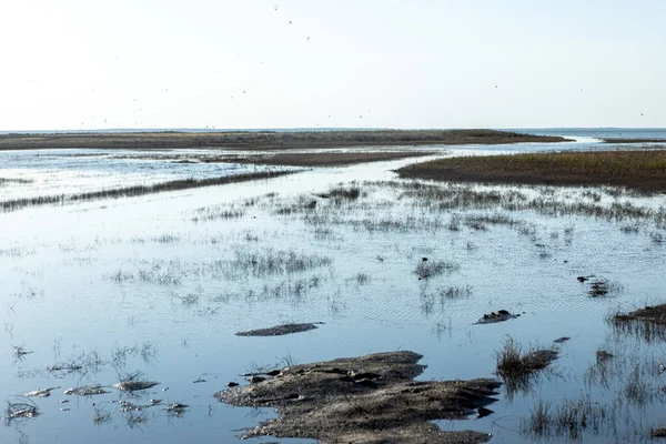 Sığ gölleri ve fundaları olan güzel bir manzara.