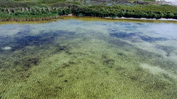 Bellissimo paesaggio con laghi poco profondi e erica — Foto Stock