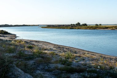 Mavi denizin kumsalı. Bitki ve kumla. Doğa rezervi.