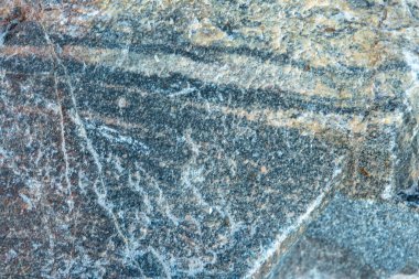 Yosun ve liken içeren taş yüzeyinin arkaplan ve dokusu