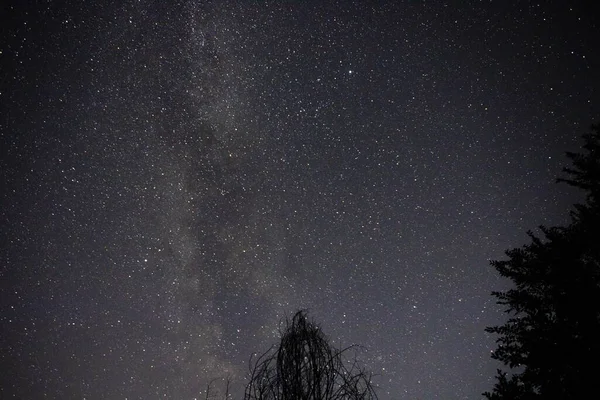 在深沉的夜空中，繁星繁茂，银河漫漫 — 图库照片