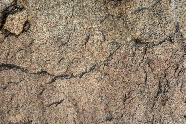 Sfondo e consistenza della superficie in pietra con muschio e licheni — Foto Stock