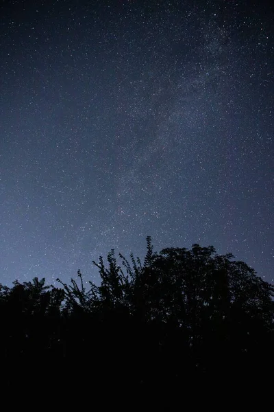 在深沉的夜空中，繁星繁茂，银河漫漫 — 图库照片