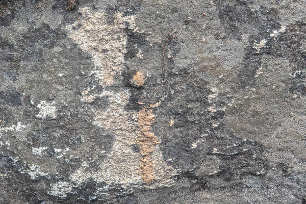 Achtergrond en textuur van stenen oppervlak met mos en korstmossen — Stockfoto