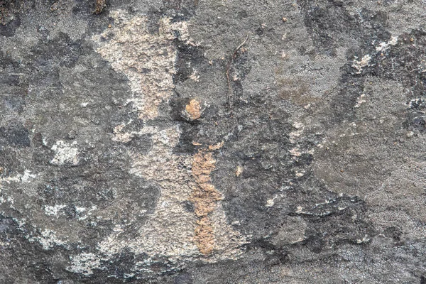 Fondo y textura de la superficie de piedra con musgo y líquenes —  Fotos de Stock