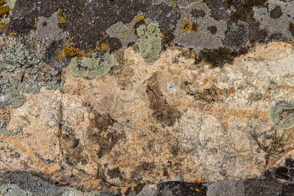 Háttér és textúra kő felület moha és zuzmók — Stock Fotó