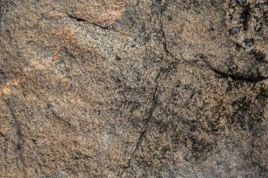 Yosun ve liken içeren taş yüzeyinin arkaplan ve dokusu