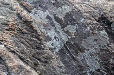 Yosun ve liken içeren taş yüzeyinin arkaplan ve dokusu