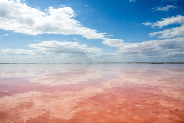 Üzerinde bulutlar yansıyan güzel pembe bir tuz gölü. Muhteşem bir manzara.