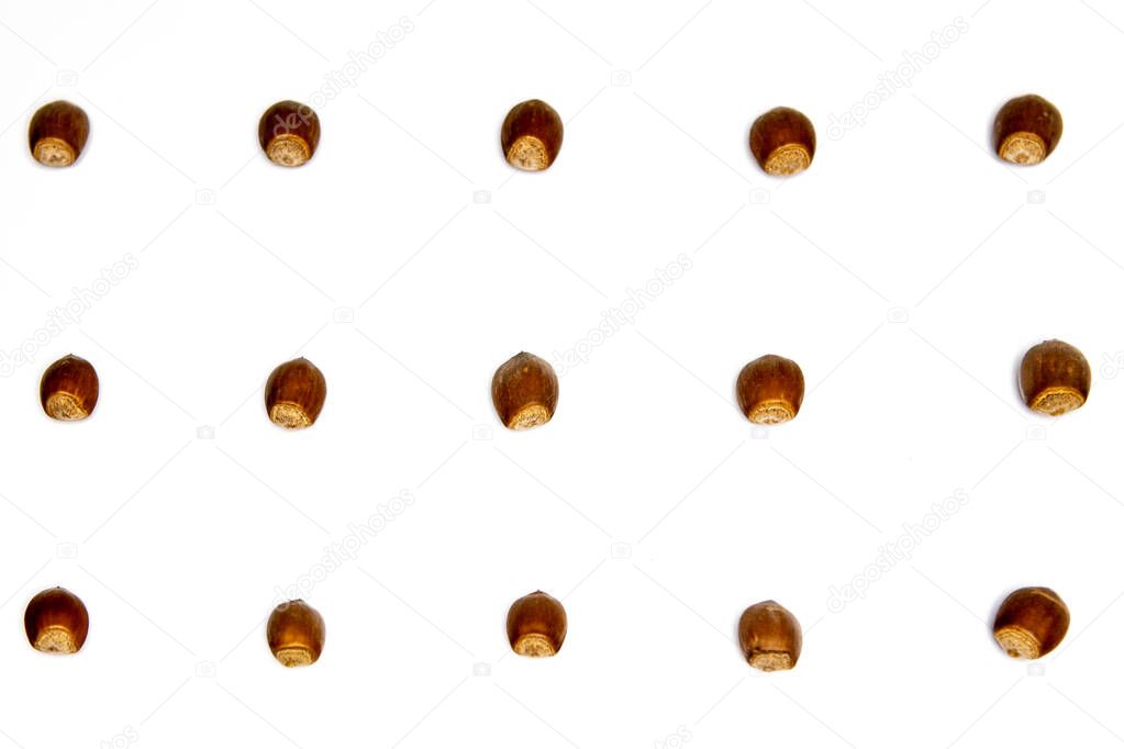 delicious hazelnuts are in rows on a white background