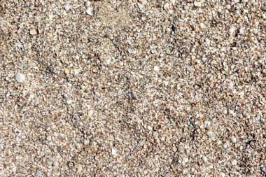 Arka plan ve kum dokusu yakın çekim. Deniz kıyısı