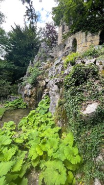 İsviçre dağlarında saklanmış ortaçağ harabeleri, yemyeşil ve kayalarla çevrili.