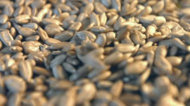 Ayçekirdeği kabuklu. 2 tekila. Ağır çekim. 1. ayçiçeği tohumu yere düşüp alanı çerçeve doldurun. Yatay (sağdan sola) yavaş pan. 2. dikey (yukarıdan aşağıya) yavaş pan.