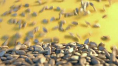 Kabuklu Ayçekirdeği sarı bir arka plan üzerinde. 2 tekila. Yakın çekim. 1. Ayçekirdeği aşağı üzerinde sarı bir background.2 inişli çıkışlı. Yavaş yatay (soldan sağa) pan. 