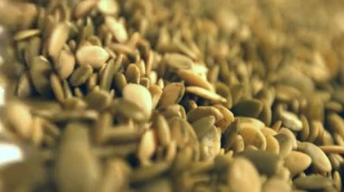 Beyaz bir arka plan üzerinde Kabak Çekirdeği kabuklu. 2 tekila. Yakın çekim. Yatay pan. 1. kabak haddeleme aşağı (soldan sağa) beyaz bir arka plan üzerinde tohum ve uzay frame.2 doldurur. Yatay (sağdan sola) yavaş pan.