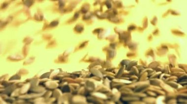 Sarı bir arka plan üzerinde Kabak Çekirdeği kabuklu. 2 tekila. Yakın çekim. Dikey pan. 1. kabak haddeleme aşağı sarı bir arka plan üzerinde tohum ve uzay frame.2 doldurur. Dikey (aşağıdan yukarıya) yavaş pan.