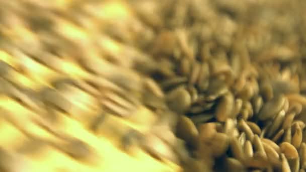 黄色の背景にカボチャの種を砲撃しました ショット クローズ アップ 水平方向のパン カボチャは種ローリング ダウン 左から右 黄色の背景にし Frame — ストック動画