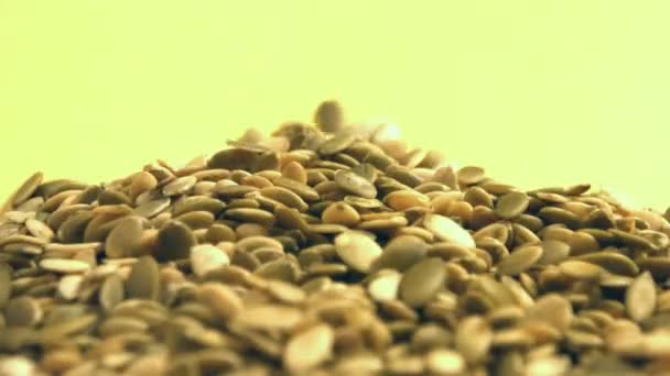 Shelled Pumpkin Seeds Yellow Background Shots Close Horizontal Pan Pumpkin — Stock Video