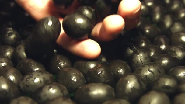 Black Olives Shots Slow Motion Close Palm Hand Poured Olives — Stock Video