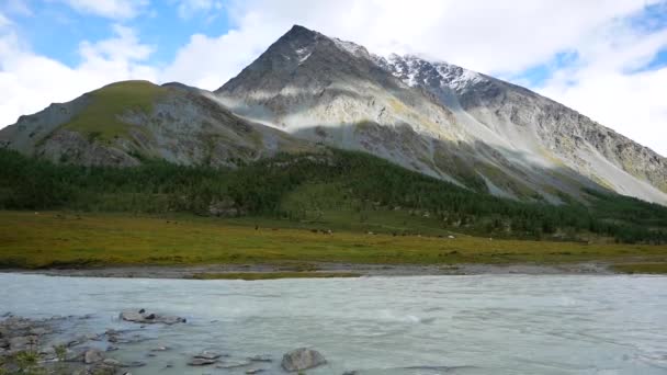 Berg Och Fjällsjö Mountain Lake Flöden Bakgrunden Altai Bergen Nära — Stockvideo