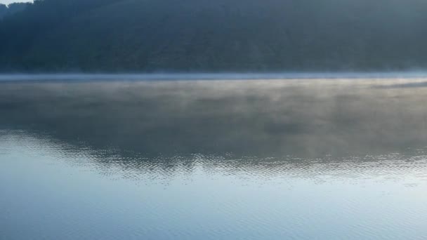 霧は水に広がっています 森の背景に川に浮かぶ霧が細かく 左から右へ からのパノラマ カメラのレンズに太陽のまぶしさ滝 — ストック動画