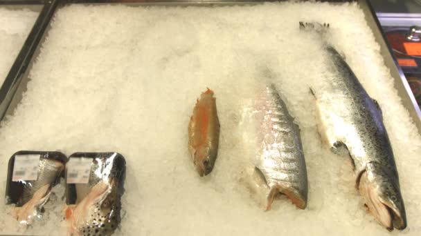 Layout Peixe Supermercado Caducidade Tempo Trabalhador Loja Coloca Peixes Recipiente — Vídeo de Stock