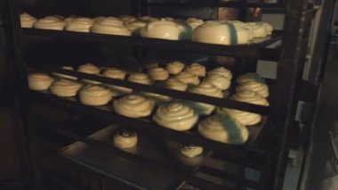 Bir tepsi üzerinde hamur işleri. Şeker ile pişirme, bir tepsi üzerinde haşhaş tohumu ile buns. Kadın pudra konteyner fırında pişirme için hamur işleri ile çeker. Fırın pişirme işlemi. 