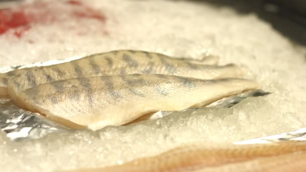 Filet Sandacza Seafood Fresh Filet Sandacza Jest Rozmieszczona Lodzie Powolne — Wideo stockowe