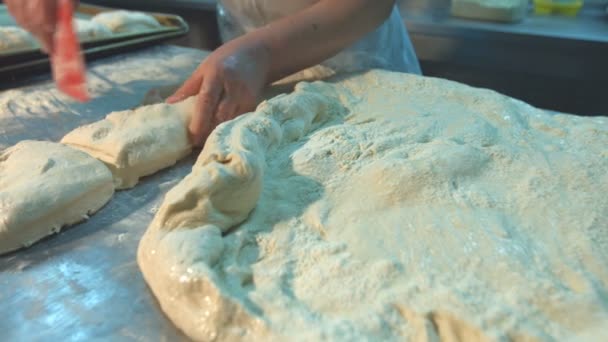 Dough Preparation Confectionery Worker Divides Dough Pieces Dough Production Process — Stock Video