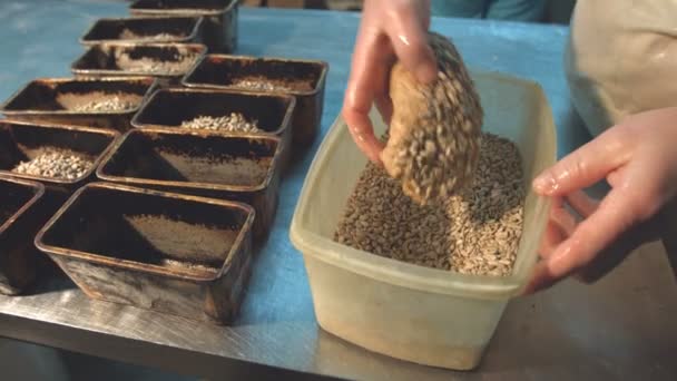 面包制作 糖果工人用葵花籽做面包 面包生产过程 — 图库视频影像