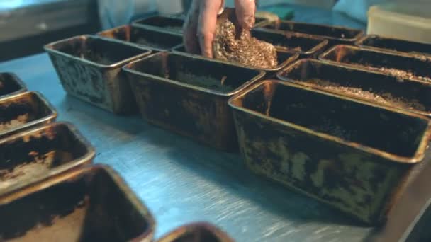 Παρασκευή Του Ψωμιού Ζαχαροπλαστειο Εργαζόμενος Κάνει Ψωμί Σπόρους Ηλίανθου Και — Αρχείο Βίντεο