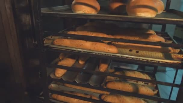 バゲットとトレイにパン オーブンを焼きます 女性菓子職人は バゲットとパンを焼くためのオーブンでコンテナーを取得します 作業環境 — ストック動画