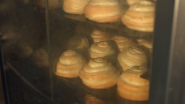 Pastelaria Forno Tempo Lapsebuns Com Açúcar Uma Bandeja Processo Cozedura — Vídeo de Stock