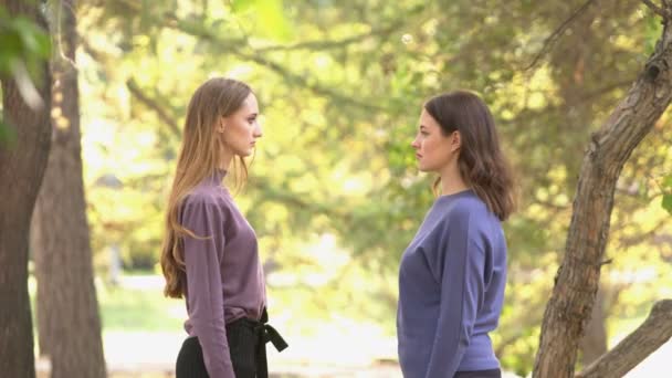 Lányok Parkban Lányok Közötti Kapcsolat Lányok Állnak Egymással Szemben Nézz — Stock videók