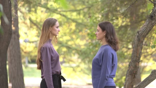 Lányok Parkban Lányok Közötti Kapcsolatok Lányok Figyelmesen Néznek Egymásra Gyönyörű — Stock videók