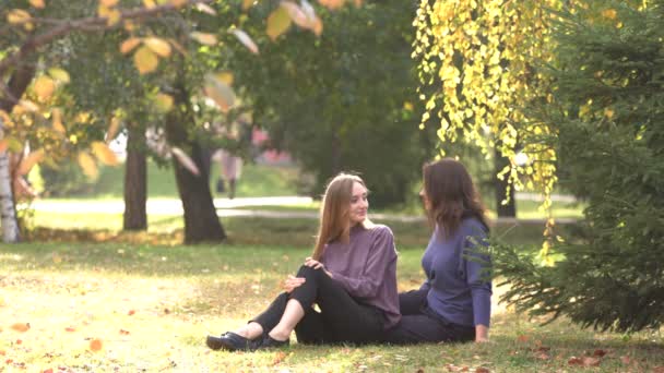 Meisjes Park Meisjes Zitten Het Gras Het Park Chat Geniet — Stockvideo