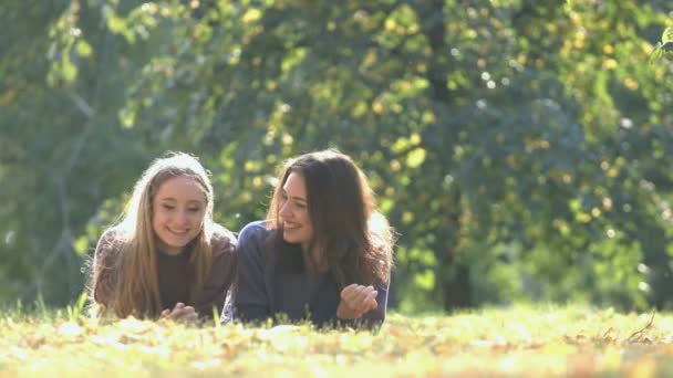 Meninas Parque Meninas Grama Estão Conversando Uns Com Outros Sorrindo — Vídeo de Stock