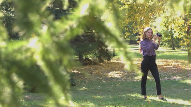 Les Filles Dans Parc Les Filles Assoient Sur Herbe Dans — Video