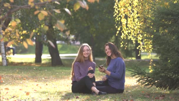 公园里的女孩们女孩们坐在公园里的草地上听音乐 他们喜欢音乐 想跳舞 狗走在后台 积极的心情 学生现场 — 图库视频影像