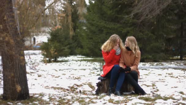 Zwei Mädchen Sitzen Auf Einem Baumstumpf Stadtpark Und Unterhalten Sich — Stockvideo