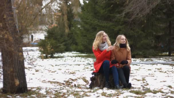 Mädchen Verschneiten Park Zwei Mädchen Sitzen Auf Einem Baumstumpf Stadtpark — Stockvideo