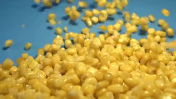 Консервированные Зерна Кукурузы Синем Фоне Два Выстрела Медленное Движение Консервированные — стоковое видео