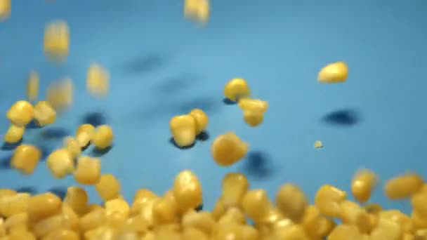 Canned Corn Kernels Blue Background Shots Slow Motion Canned Corn — Stock Video