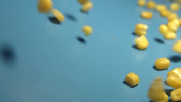 Maiskonserven Auf Blauem Hintergrund Schüsse Zeitlupen Maiskonserven Rollen Auf Blauem — Stockvideo