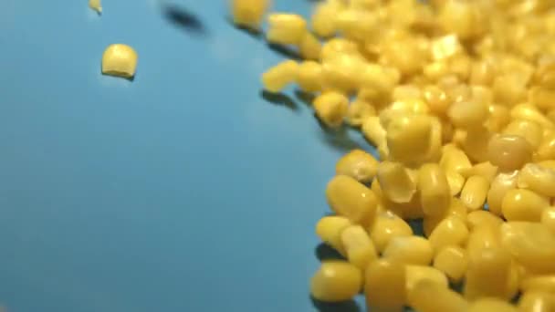 Canned Corn Kernels Blue Background Shots Slow Motion Canned Corn — Stock Video